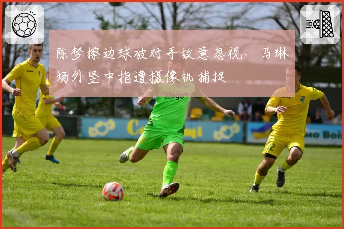 陈梦擦边球被对手故意忽视,马琳场外竖中指遭摄像机捕捉